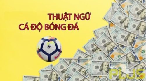 thuật ngữ bóng đá