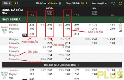dockeo-a5 bảng kèo tại nhà cái