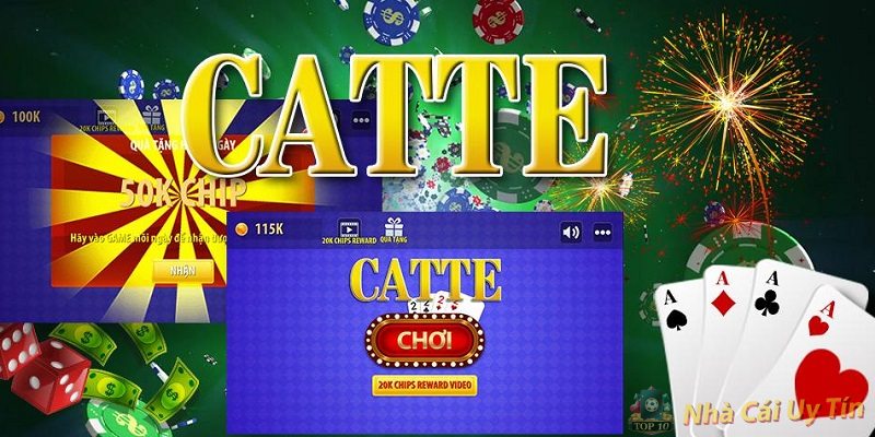 Bài Catte Là Bài Gì?