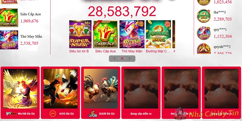 Đá Gà kịch tính