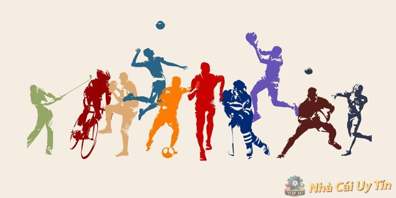 Diễn đàn cá độ bóng đá là gì? Diễn đàn cá độ bóng đá là gì?