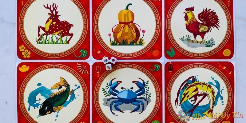 Quan sát kỹ càng