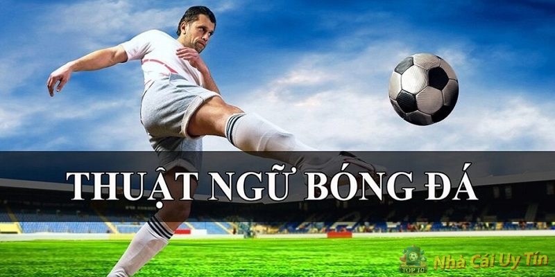 Thuật ngữ cá độ bóng đá
